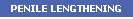 Penile Lengthening