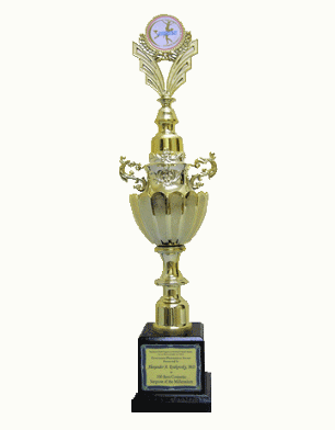 Trophy for 100 Best Cosmetic Surgeons of the World for 2008